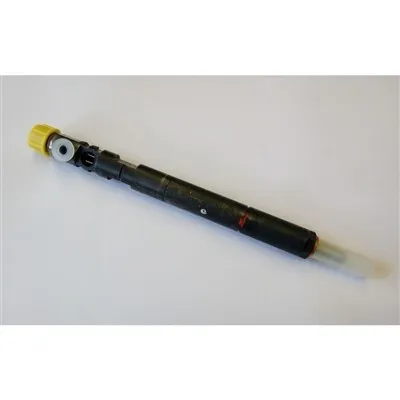 Mercedes-Benz A6460700987 Injector